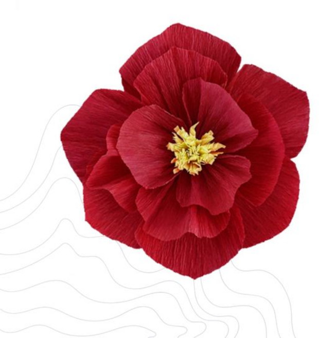 종이꽃 빨간 동백꽃 조화 인테리어 소품 웨딩 파티 장식 포토존 배경 홈데코 꽃장식 축하선물, 상세페이지 참조, 주름지꽃 살구