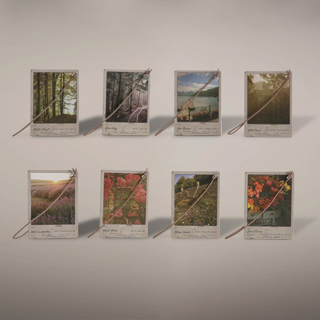 그리니티센트 종이방향제 우드 플로럴 그린 타입(1p) 호텔 욕실 화장실 벽걸이 차량용 옷장 실내 방향제 시그니처 향, 2.던 모스, 1개, 9g