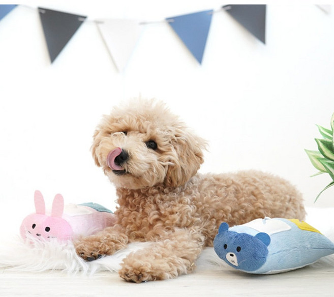 패리스독 토실토실 퍼니 노즈 플레이토이, 1개