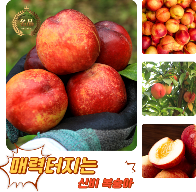 [굿피플] 꿀당도 신비복숭아 복숭아 제철신비복숭아, 1개, 신비복숭아 3kg 소과