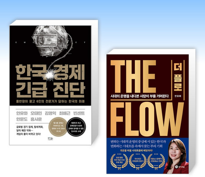 (안유화 세트) 한국 경제 긴급 진단 + 더 플로 (전2권)