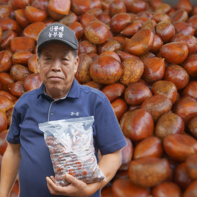 -맛있는 진짜 햇 공주밤 공주 옥광밤 알밤 생 깐밤 1kg 2kg, 3)공주햇밤 대 1kg(칼집X), 1개