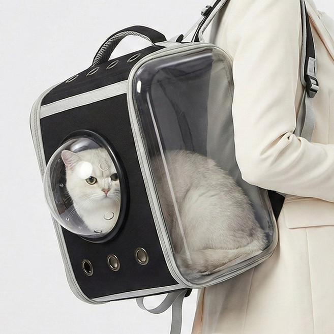 푸키 강아지 3면 투명 백팩 고양이 이동장 산책가방 앞가방, 1개, 블랙