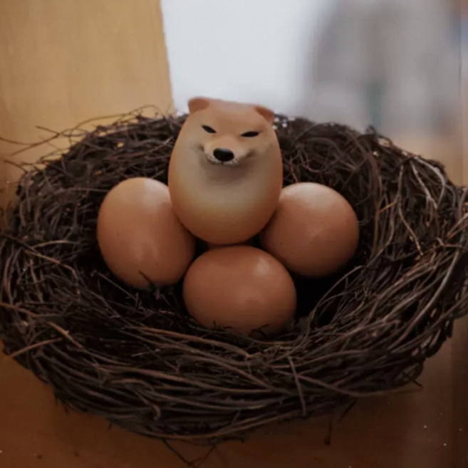 시바계란 말랑이 재미있는 장난 시바달걀