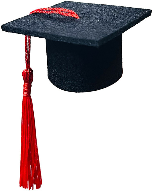 미니학사모 졸업식 풍선 꽃다발 장식, 50개, 레드