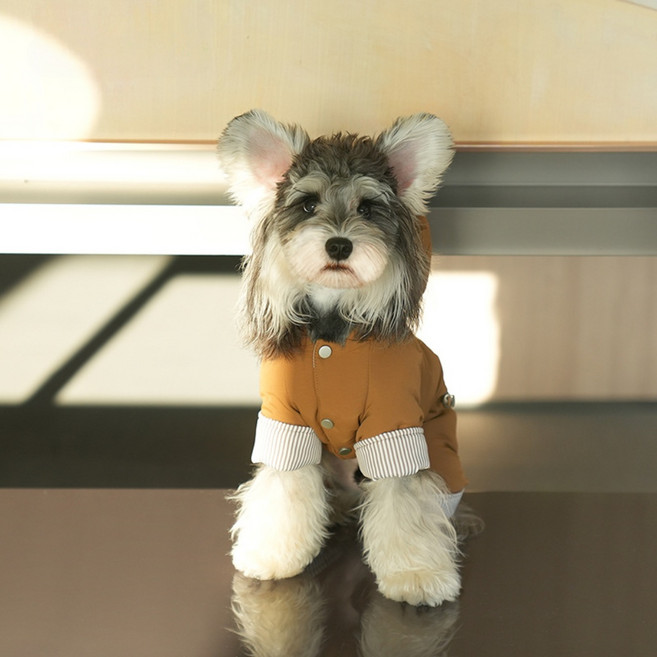 강아지 옷 겨울 옷 후드 패딩 강아지 패딩 애견 강아지옷, 1개, 브라운