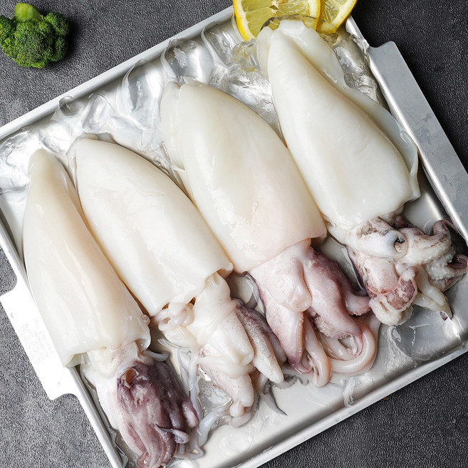 손질 통 갑오징어 450g x 2팩 (대/4미), 1세트