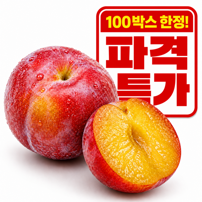 10위 - [파격특가] 국내산 제철 자두, 1박스, 2kg 베스트