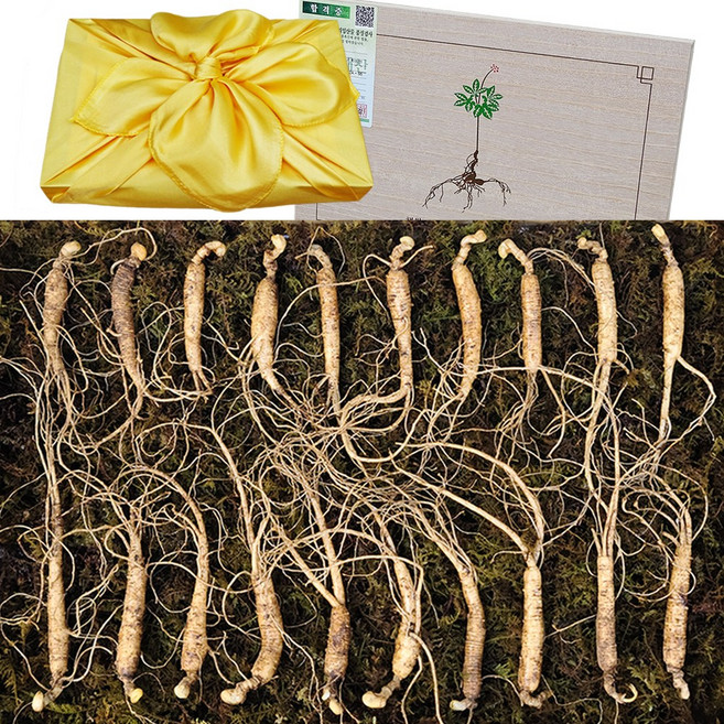 아리아리산삼 6년근 5뿌리 10뿌리 15뿌리 20뿌리 산삼 산양삼 장뇌삼 산양산삼 설 추석 선물세트, 45g, 1개