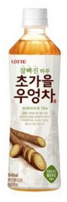 롯데칠성음료 잘빠진 하루 초가을 우엉차, 500ml, 46개