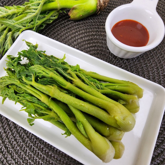 땅두릅 자연산 두릅 산나물 백미향, 1박스, 1kg