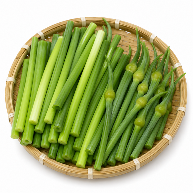 [백화점납품용] 국산 햇 마늘종 코끼리마늘쫑, 1개, 1kg
