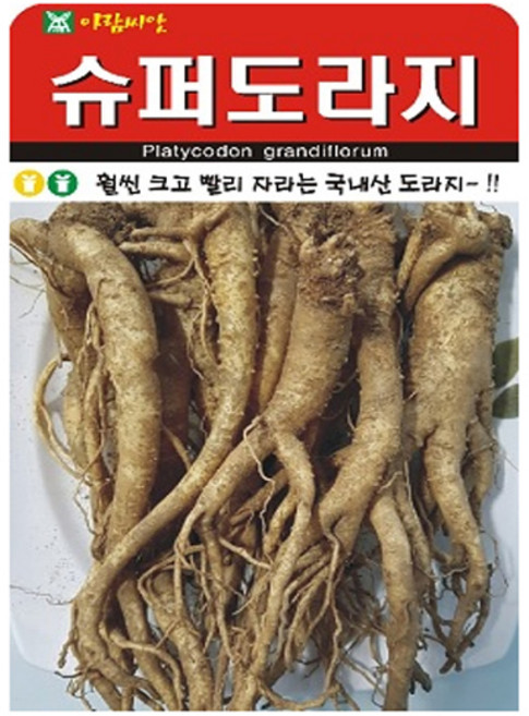 슈퍼도라지 씨앗 (합 2000립) 도라지 종자, 2개