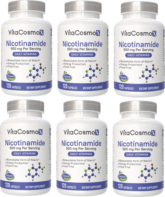 VitaCosmox 비타코스모 식물성 NMN 엔엠엔 니코틴산아미드 500mg 120 야채캡슐, 6개, 120정