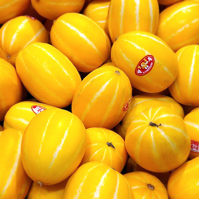 성주 당도선별 아삭달콤 꿀 참외 가정용, 1개, 5kg (대과)