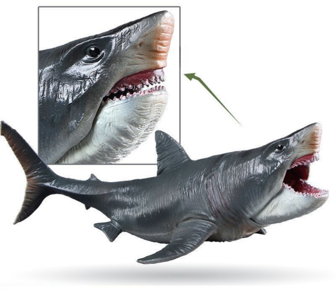 도다인몰 대형 메가로돈 고대 해양 상어 피규어, 1개