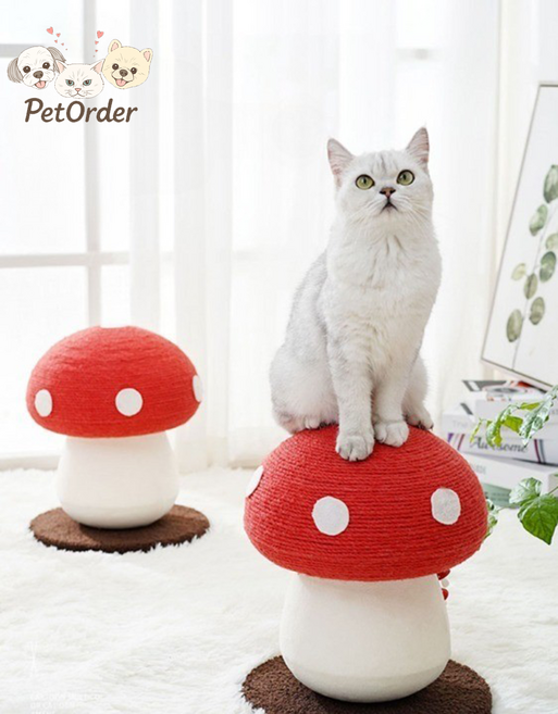 칠시 고양이 머쉬룸 스크래쳐, 혼합색상, 1개