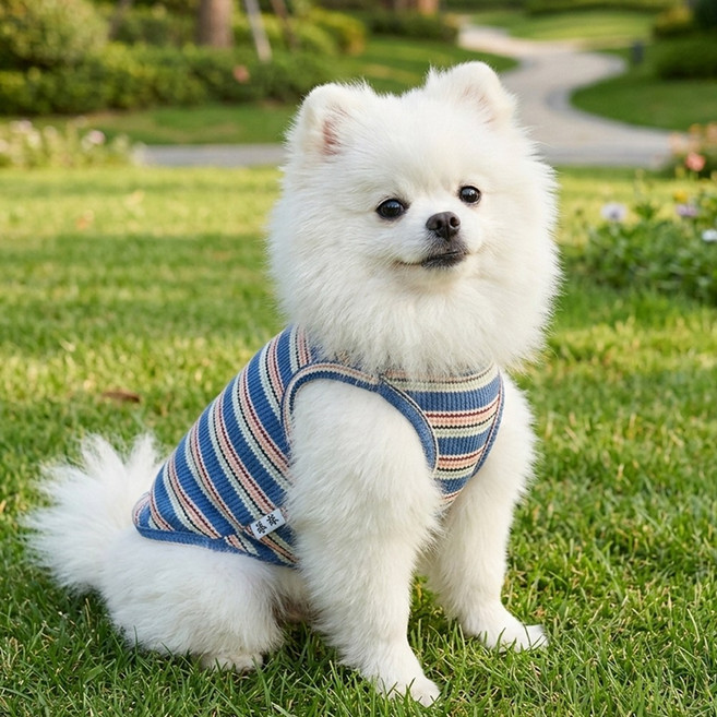 강아지옷 데일리나시 봄여름 민소매 애견티셔츠, 1개, 블루