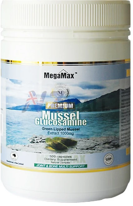 Mega Max Mussel Glucosamine 메가맥스 뉴질랜드 프리미엄 초록입홍합 글루코사민 1000mg 500캡슐2팩, 500정, 2개 - 쿠팡