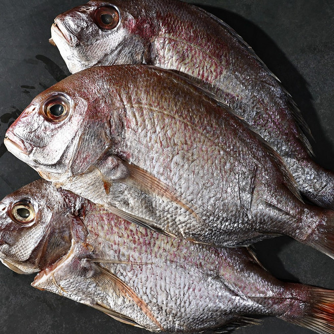 목포 자연산 반건조 참돔 3미, 1세트, 800g(3미)