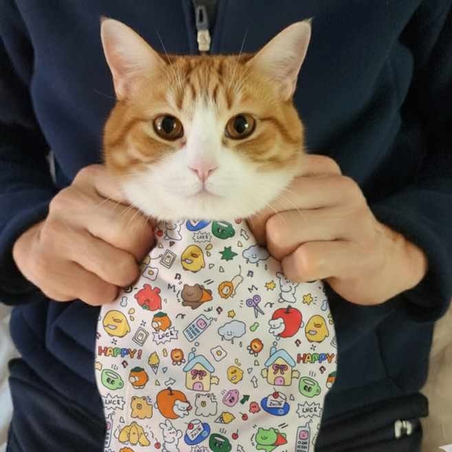 동동우주 고양이 요술담요 반려동물 할큄방지 그루밍랩 활동 고정 케어용 접착담요, 동물농장