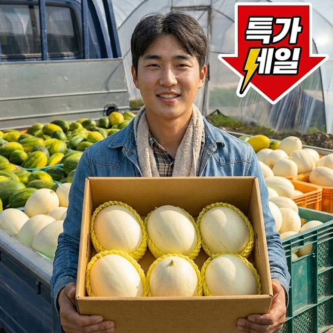 [마지막초특가] 50박스한정 장인선별 고당도 고령설향메론, 1박스, 2kg