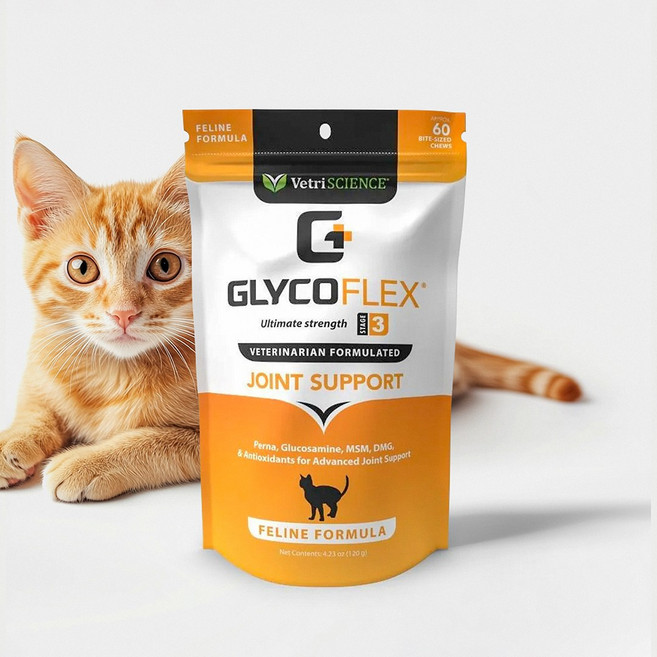 베트리사이언스 고양이 조인트 관절 서프트 GLYCO FLEX3 60츄어블 치킨맛, 1개
