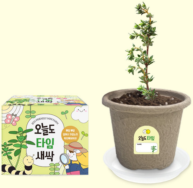 오늘도새싹 식물키우기 타임 미니화분