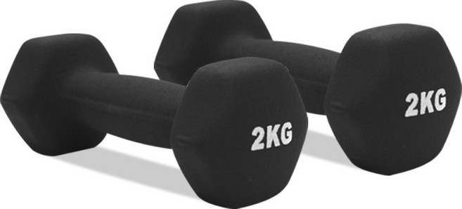홈트러브 네오프렌 아령 세트, 2kg, 2개