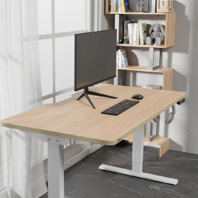 아트박스/카멜마운트 핏쳐 E1 PLUS 전동식 모션 데스크 커스터마이징 1600, 1600mm, 화이트, 화이트