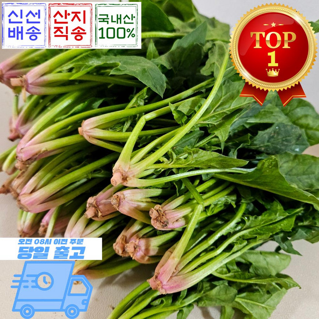 믿고마트 해풍맞은 영해초 포항초 시금치, 600g, 1박스