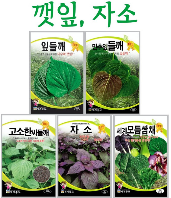 주주씨앗 깻잎 자소 씨앗 잎들깨 만추잎들깨 깻잎씨앗 쌈채소 씨들깨 모듬쌈채 쌈채소씨앗, 5. 모듬쌈채 3g, 1개
