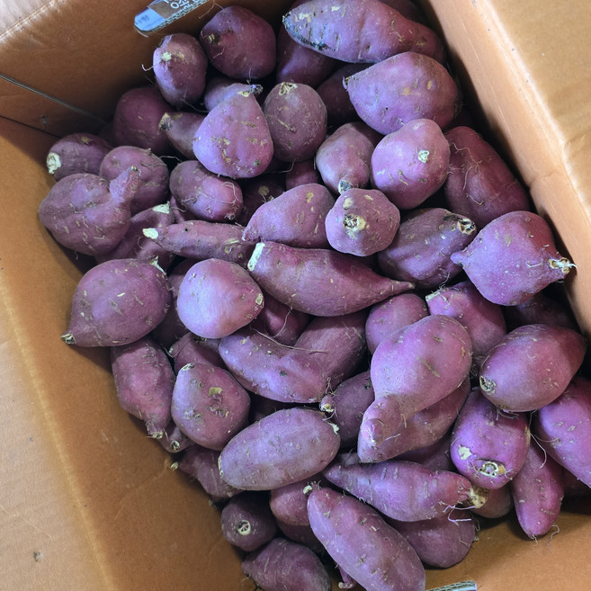 보배네 꿀 고구마 명품, 1개, 해남 꿀 고구마 한입 5kg