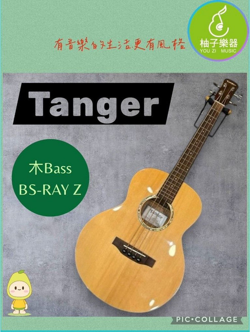 Tanger 木 Bass BS-RAY Z 旅行尺寸 單板木Bass, 1個