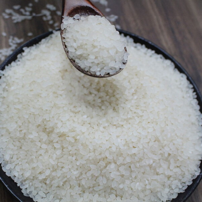 [장보리] 강원도 펀치볼 향미 햅쌀 누룽지쌀 10kg, 기본상품, 1개