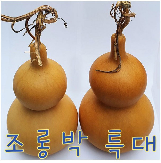 IQPLUS 조롱박 특대 1개