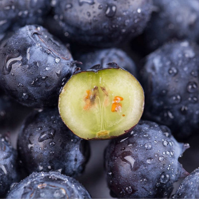 [디어메딕] 국산 생 블루베리 중과 대과 한팩 100g 개별포장, 2개, 국산 생 블루베리 대과 100g