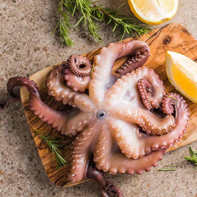 노엘푸드 모리타니아 생문어 15kg 12~17마리(마리당 900~1200g)대왕문어 큰문어 문어요리, 1박스