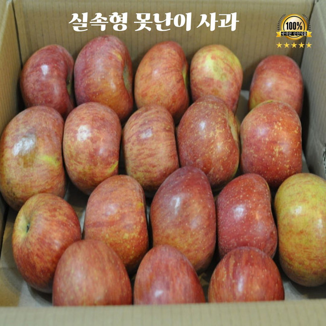초고당도 15brix 쥬스용 못난이 홍로 사과, 1박스, 못난이 사과 10kg