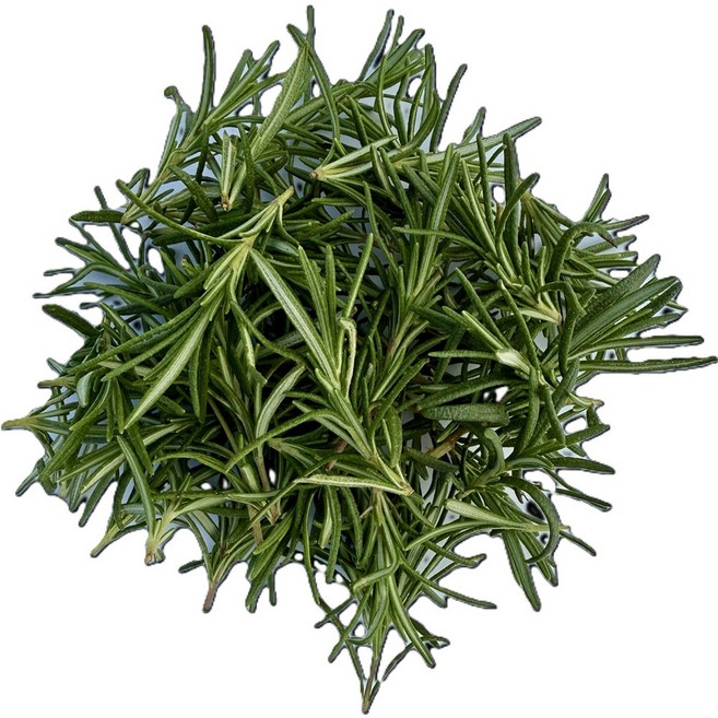 데코용 로즈마리 짧은잎 유기농허브, 1개, 50g