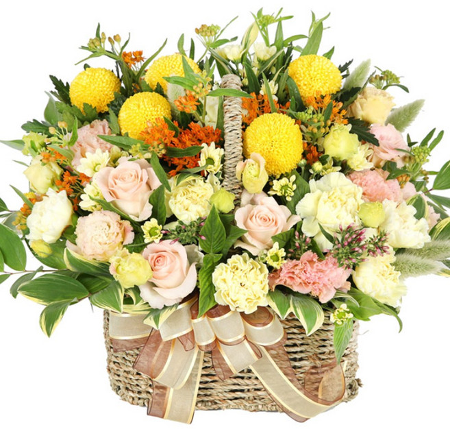 (오늘도착) 99플라워 풍성한 꽃바구니 "레몬빛 하루" 피치 옐로우 장미 ST-A1960 - 생일 기념일 결혼기념일 당일꽃배달 전국당일배송 생화, 1개