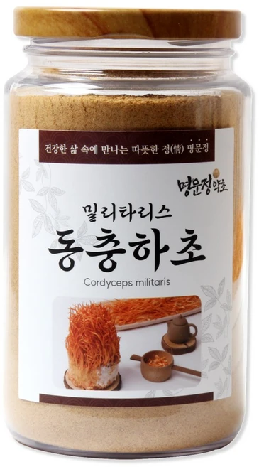 명문정약초 밀리타리스 동충하초분말 국산, 1개, 300g - 쿠팡