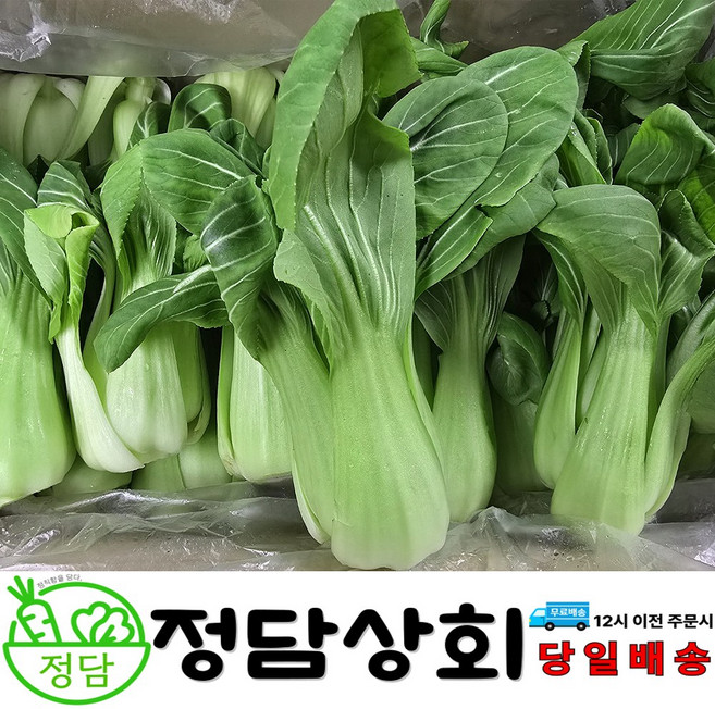 [ 정담상회 ] 국내산 청경채 2kg 4kg 8kg 내외 마라탕 샤브샤브 동파육 용, 1박스