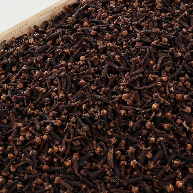 [자연담은 산해림] 한방재료 한약 약재류 정향 500g, 1개