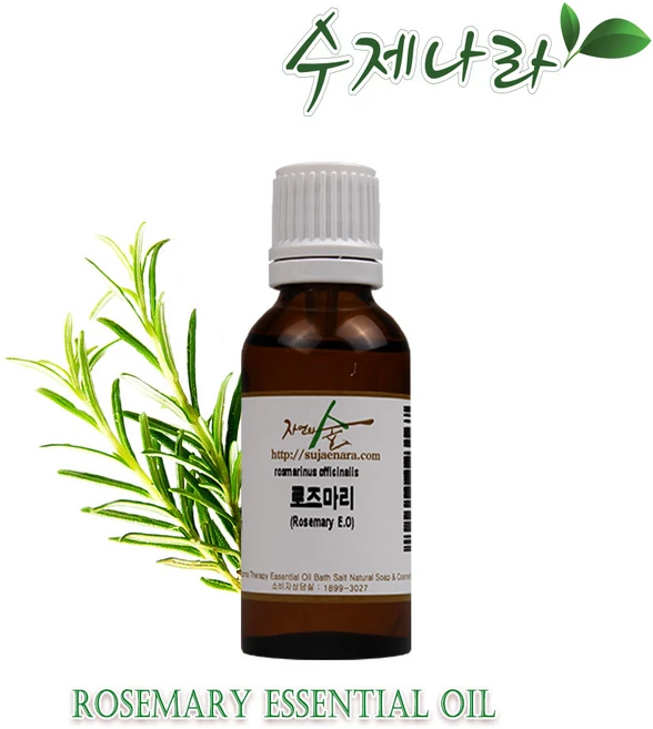 수제나라 로즈마리 천연아로마 자연의숲, 50ml, 1개 - 쿠팡