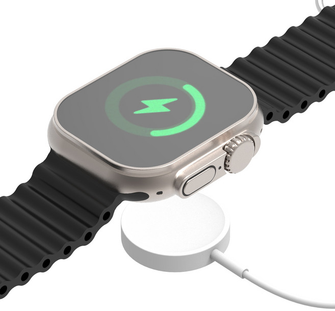 로랜텍 백돌 애플워치 충전기 케이블, 1개