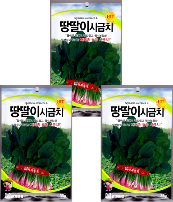 땅딸이시금치 씨앗 35g 초장이 낮고 내한성 강한 저온기용 시금치, 3개
