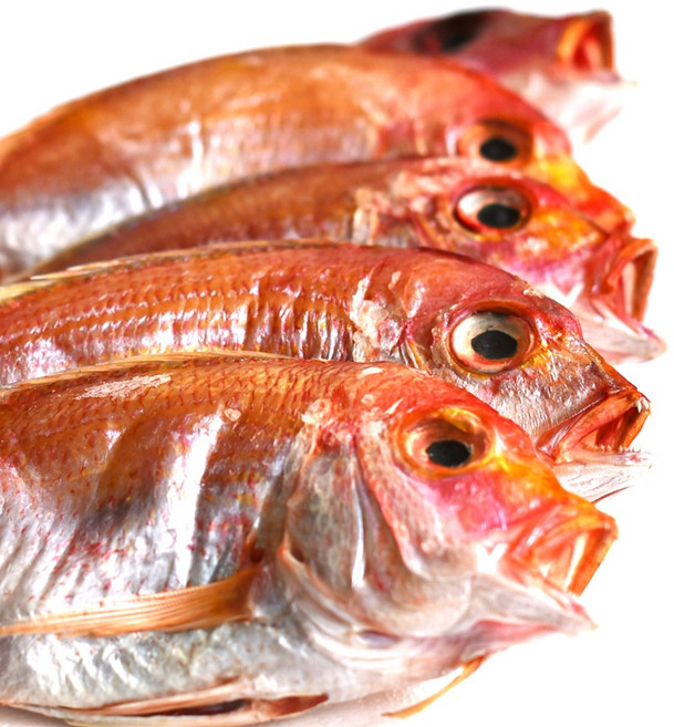 응답하라삼천포수산 반건조 꽃돔 5-8미 남해안 반건조생선 도미 생선구이 찜, 1세트