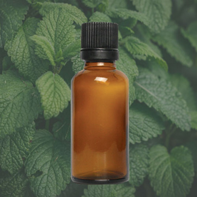 에센셜오일 - 스피어민트 Spearmint Essential Oil /스피아민트, 500ml