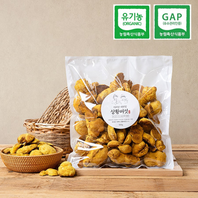 유기농 지리산 장수상황버섯 500g 알뜰형 친환경 국산 국내산 6시내고향 새희망농원, 1개, 500g(원형)